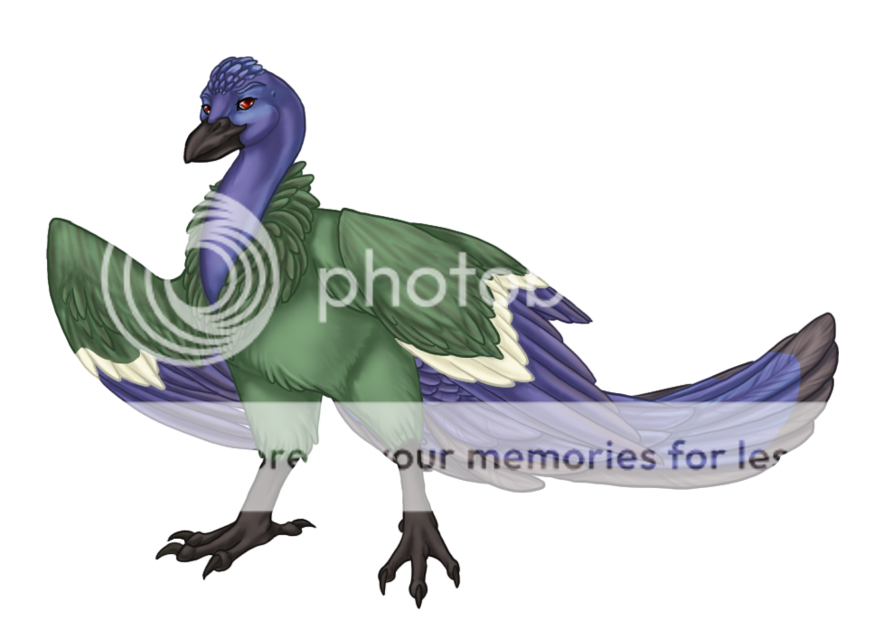 User Image